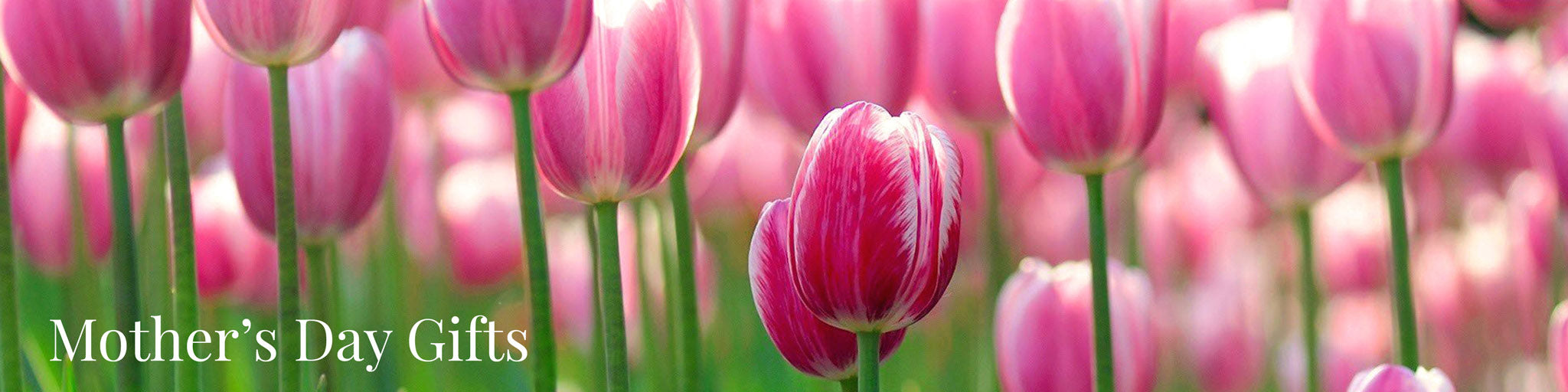 Tulip Field: Vintage and Antique Jewelry Gifts from Doyle & Doyle