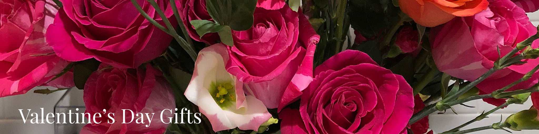 Valentines Day jewelry gifts banner from Doyle & Doyle