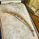 Antique Edwardian Sapphire & Pearl Crescent Pin