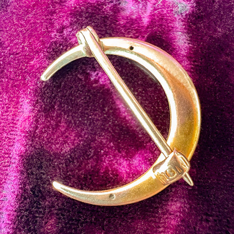 Victorian Crescent Moon Pin